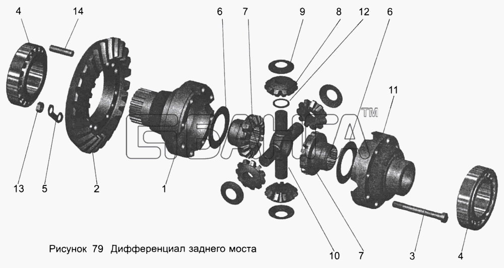 АМАЗ МАЗ-103 Схема Дифференциал заднего моста 104-2403010-80 banga.ua