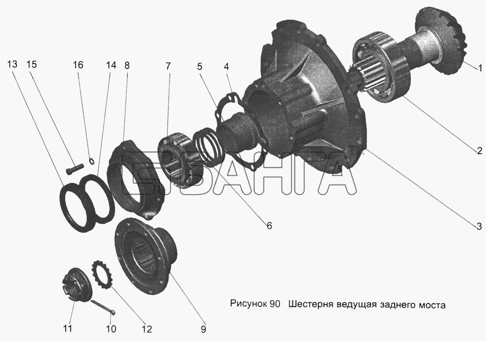 АМАЗ МАЗ-103 Схема Шестерня ведущая заднего моста banga.ua