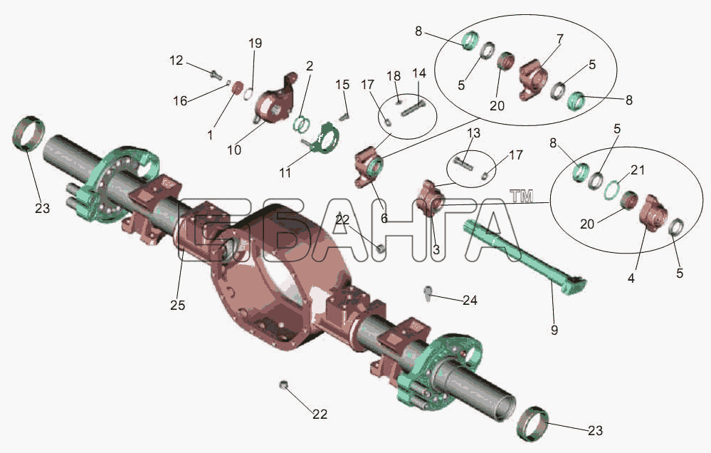 АМАЗ МАЗ-256 (вариант) Схема Привод тормозного механизма задних