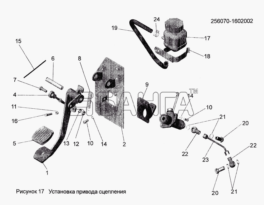 АМАЗ МАЗ-256 Схема Установка привода сцепления banga.ua