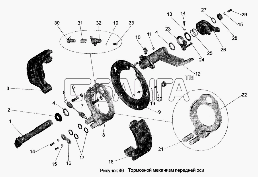 АМАЗ МАЗ-256 Схема Тормозной механизм передней оси-117 banga.ua