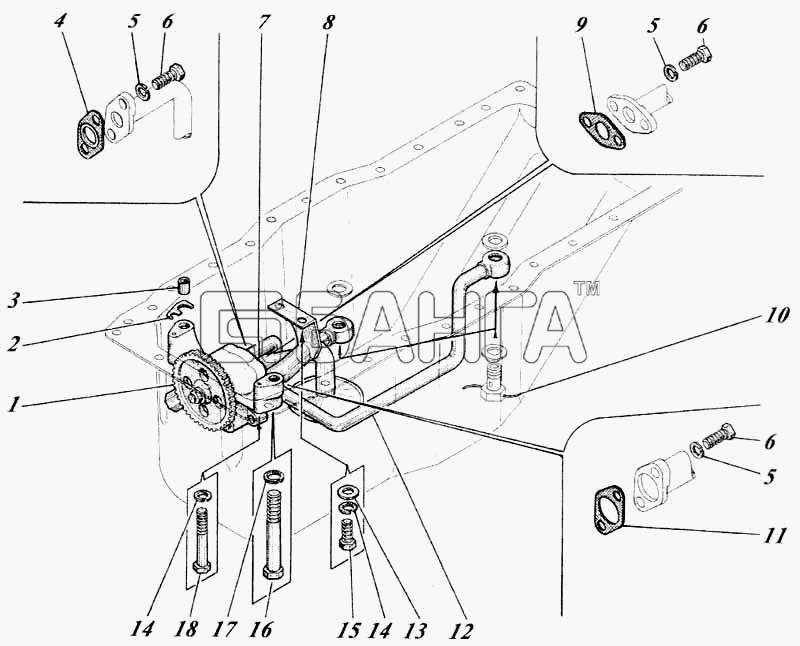 Алтайдизель Д-442 Схема Насос масляный с трубами МН41-09с1-113