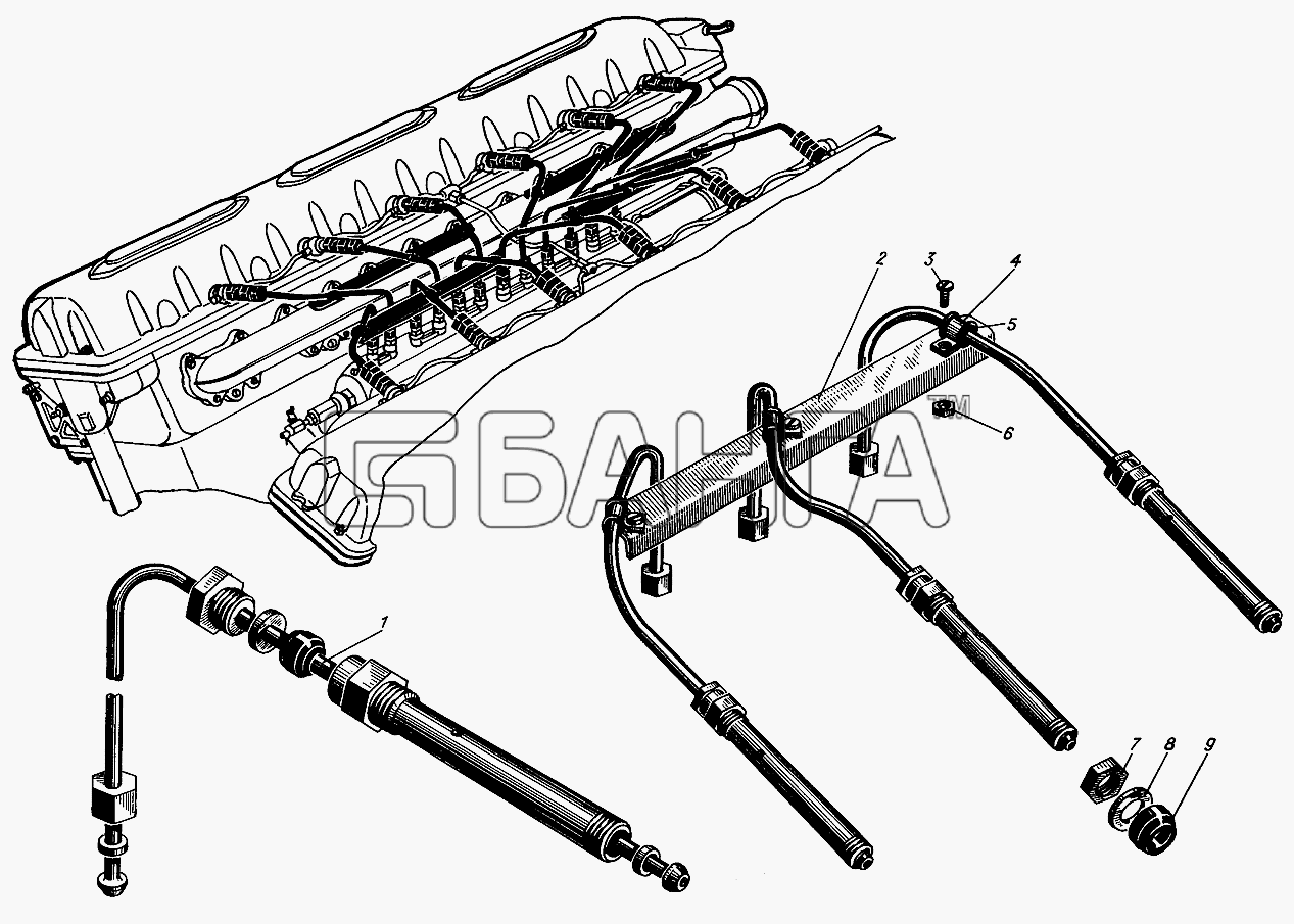 Барнаултрансмаш Дизели Д12С1 Схема Трубки нагнетательные высокого