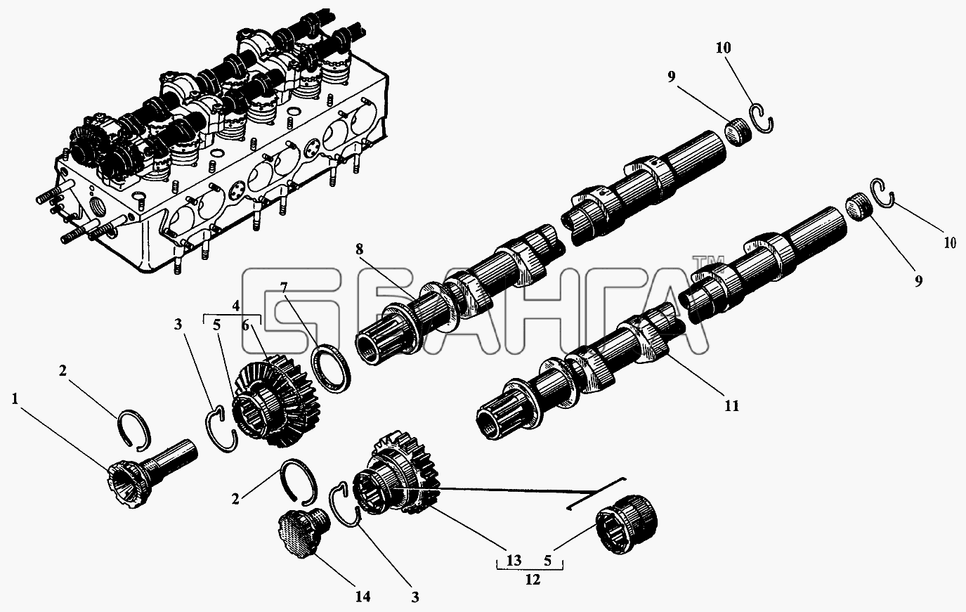 Барнаултрансмаш Дизели Д6С2 Схема Распределительные валы-18 banga.ua