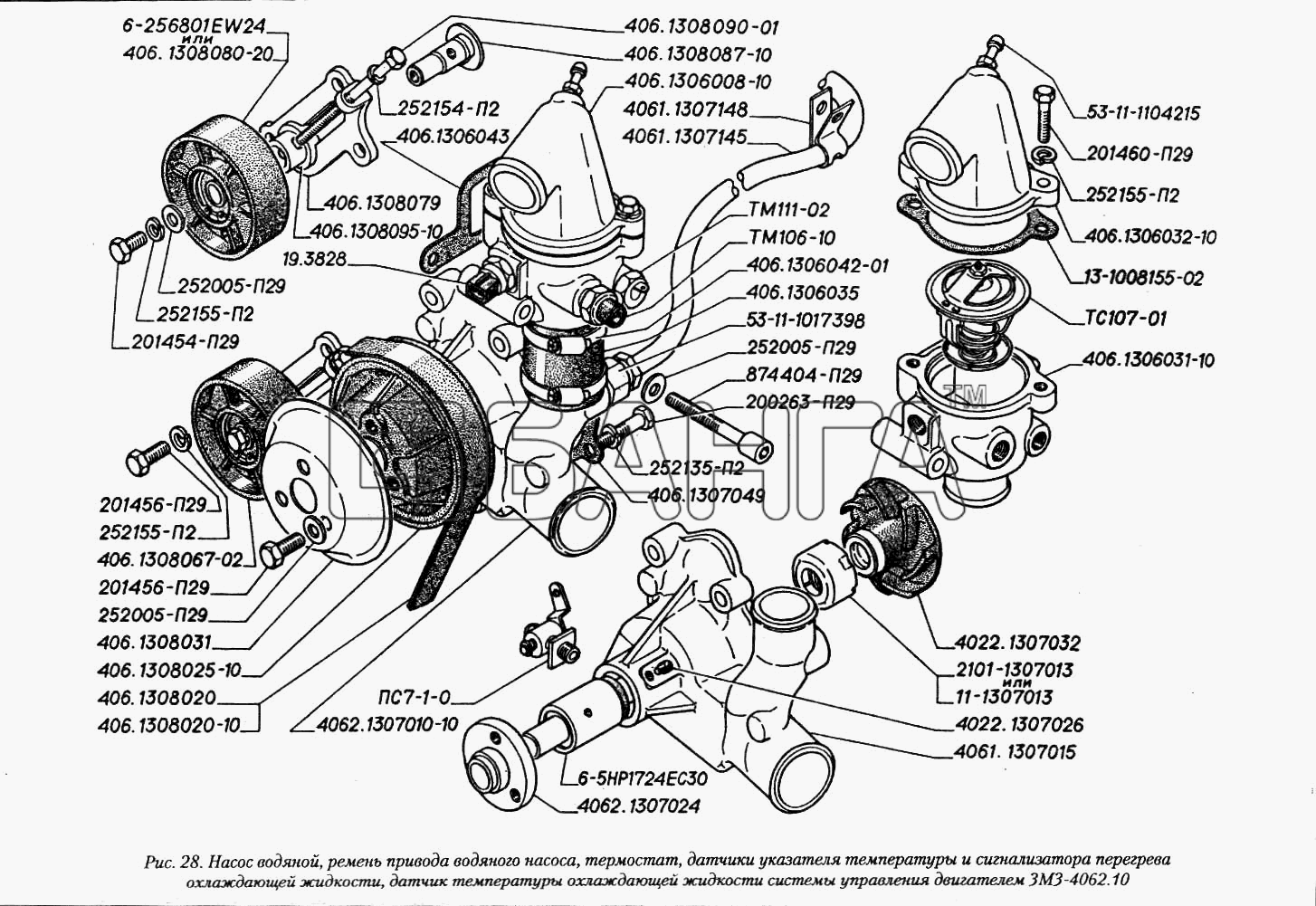 ГАЗ ГАЗ-3110 Схема Насос водяной ремень привода водяного насоса