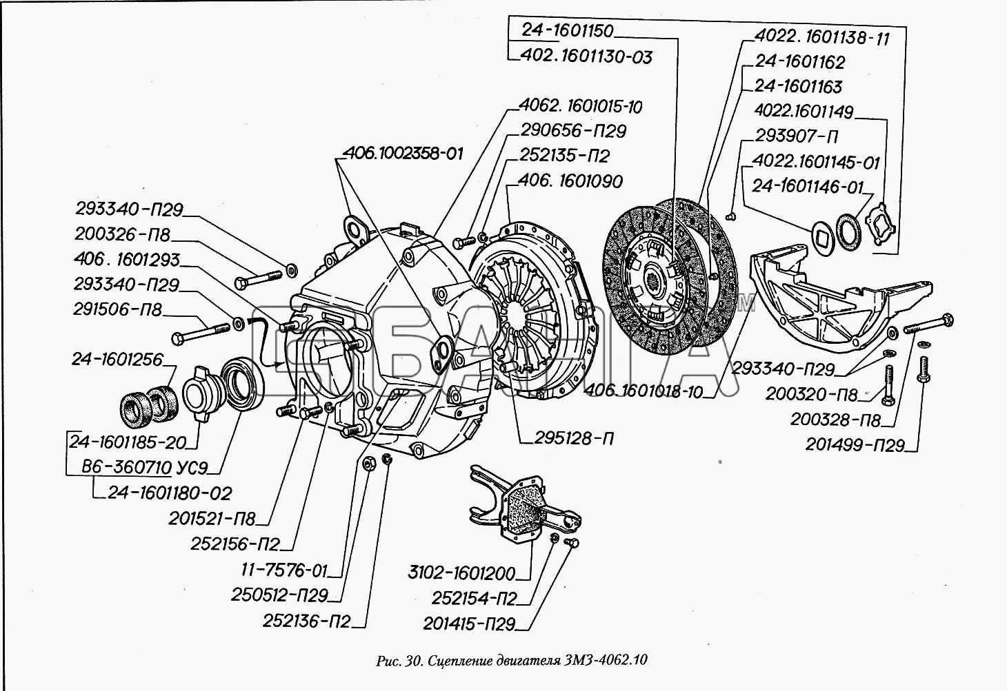 ГАЗ ГАЗ-3110 Схема Сцепление двигателя ЗМЗ-4062.10-73 banga.ua