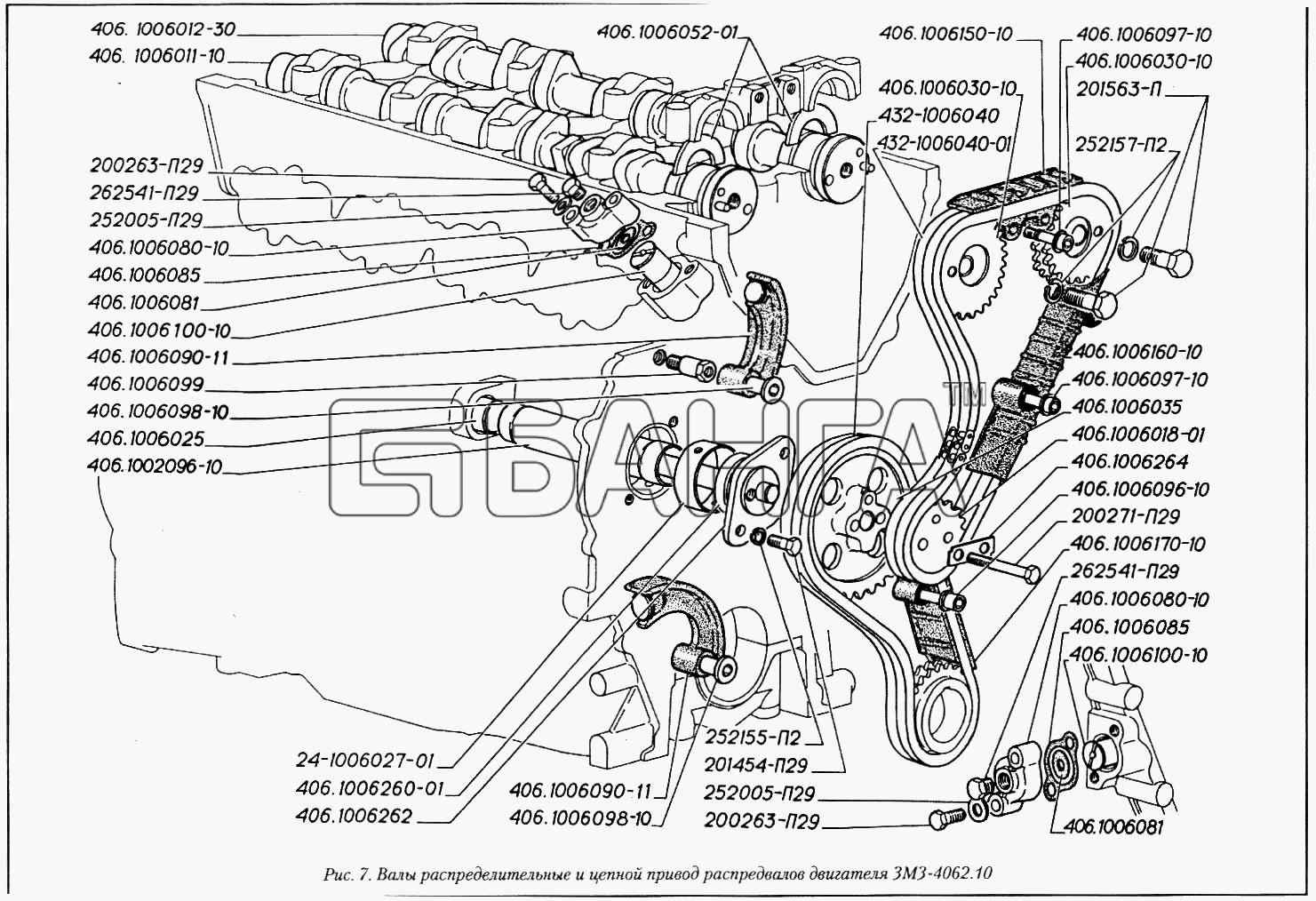 ГАЗ ГАЗ-3110 Схема Валы распределительные и цепной привод banga.ua