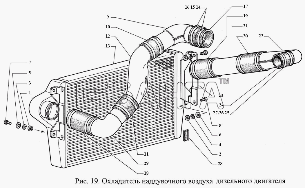 ГАЗ ГАЗ-3308 Схема Охладитель наддувочного воздуха дизельного banga.ua