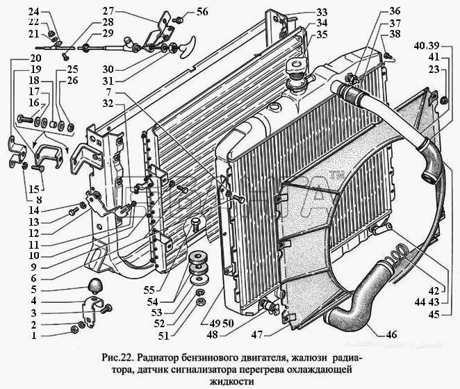 ГАЗ ГАЗ-3308 Схема Радиатор бензинового двигателя жалюзи banga.ua
