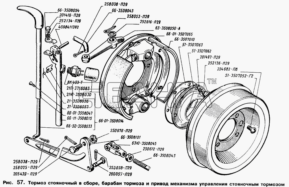 ГАЗ ГАЗ-66 (Каталог 1996 г.) Схема Тормоз стояночный в сборе барабан