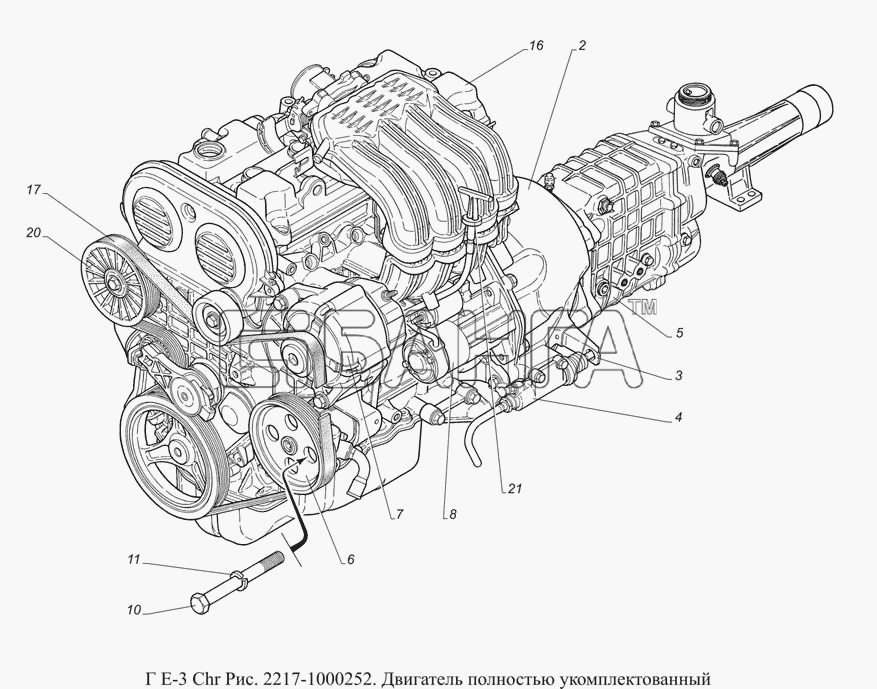 ГАЗ ГАЗ-3302 (доп. с дв. Chr Е 3) Схема 2217-1000252. Двигатель