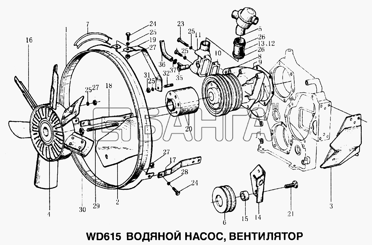 HOWO Howo Схема Водяной насос вентилятор-31 banga.ua