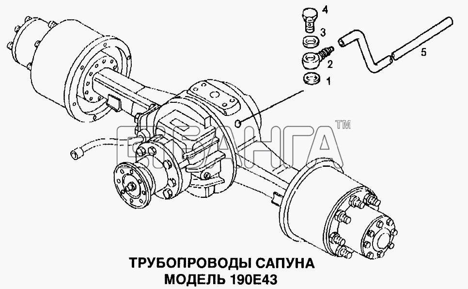 IVECO EuroTech CURSOR Схема Трубопроводы сапуна-165 banga.ua