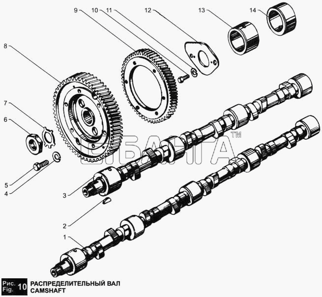 ЯМЗ ЯМЗ-236 М2 и 238 М2 Схема Распределительный вал-12 banga.ua