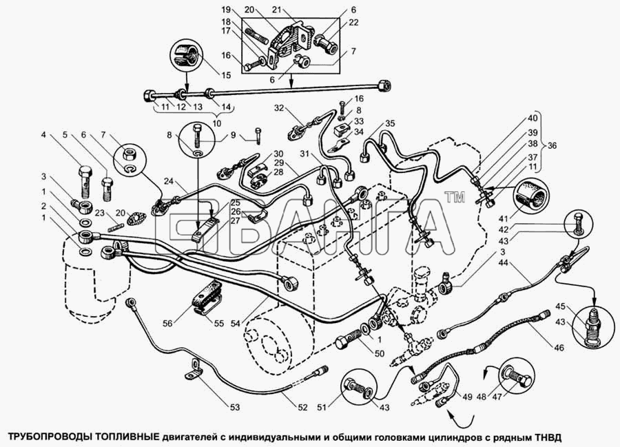 ЯМЗ ЯМЗ-6562.10 (Евро 3) Схема Трубопроводы топливные-25 banga.ua