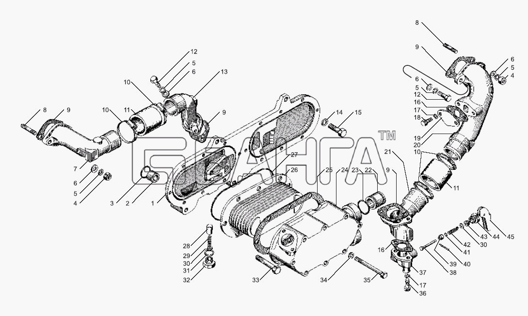 ЯМЗ ЯМЗ-238БЕ Схема Теплообменник жидкостно-масляный-22 banga.ua