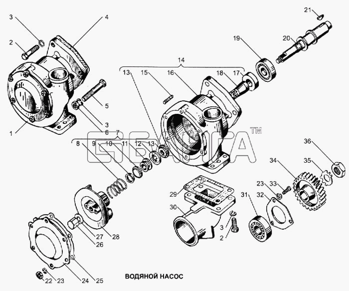 ЯМЗ ЯМЗ-240 (2000г.) Схема Водяной насос-46 banga.ua