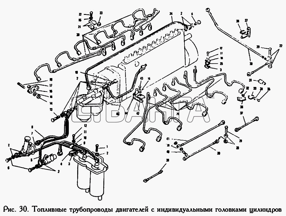ЯМЗ ЯМЗ-240 Схема Топливные трубопроводы двигателей с banga.ua