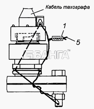 КамАЗ КамАЗ-4308 Схема Пломбировка датчика тахографа на коробке