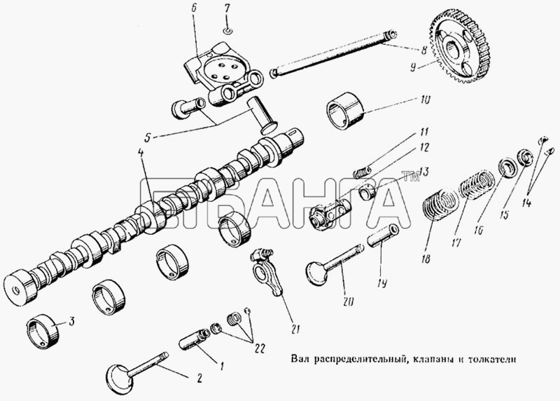 КамАЗ КамАЗ-5315 Схема Вал распределительный клапаны и толкатели-32
