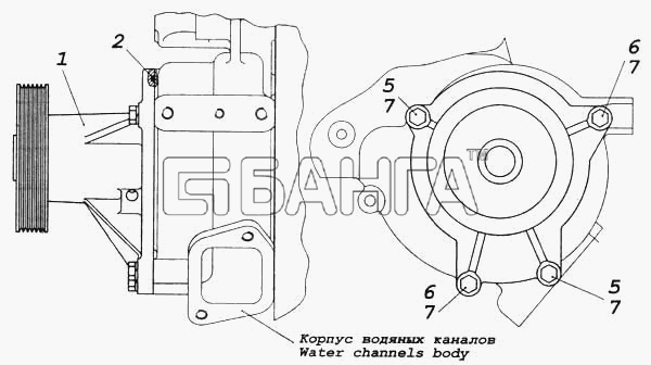 КамАЗ КамАЗ-5460 Схема Установка водяного насоса-182 banga.ua