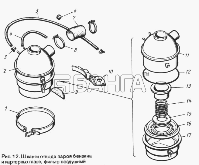 ЛуАЗ ЛуАЗ 969М Схема Шланги отвода паров бензина и картерных banga.ua