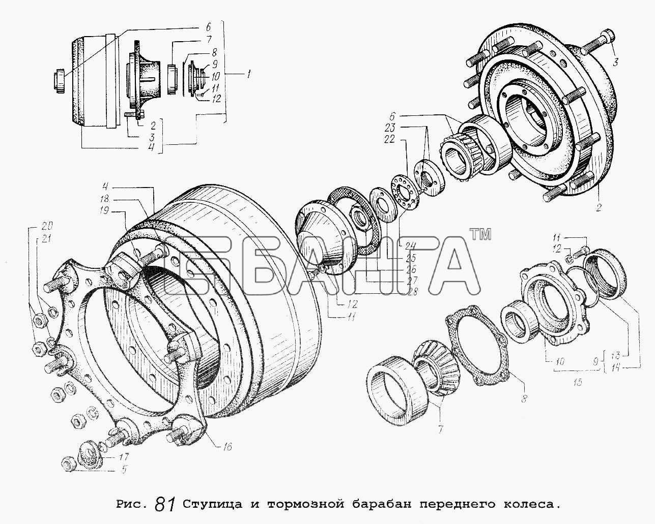 МАЗ Общий (см. мод-ции) Схема Ступица и тормозной барабан переднего