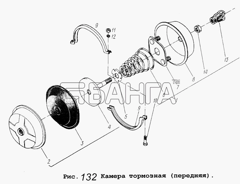 МАЗ МАЗ-64229 Схема Камера тормозная (передняя)-177 banga.ua
