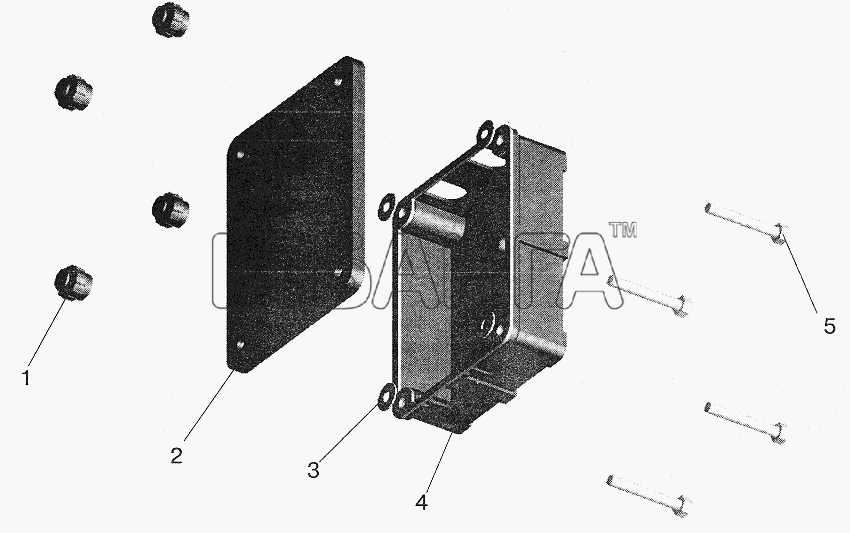МАЗ МАЗ-5432 Схема Коробка задних фонарей-218 banga.ua