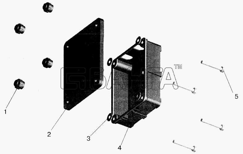 МАЗ МАЗ-543202 Схема Коробка задних фонарей-264 banga.ua