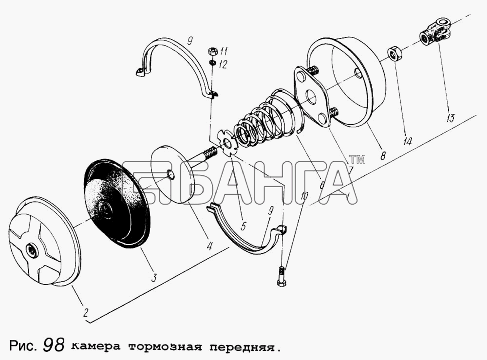 МАЗ МАЗ-5434 Схема Камера тормозная передняя-145 banga.ua