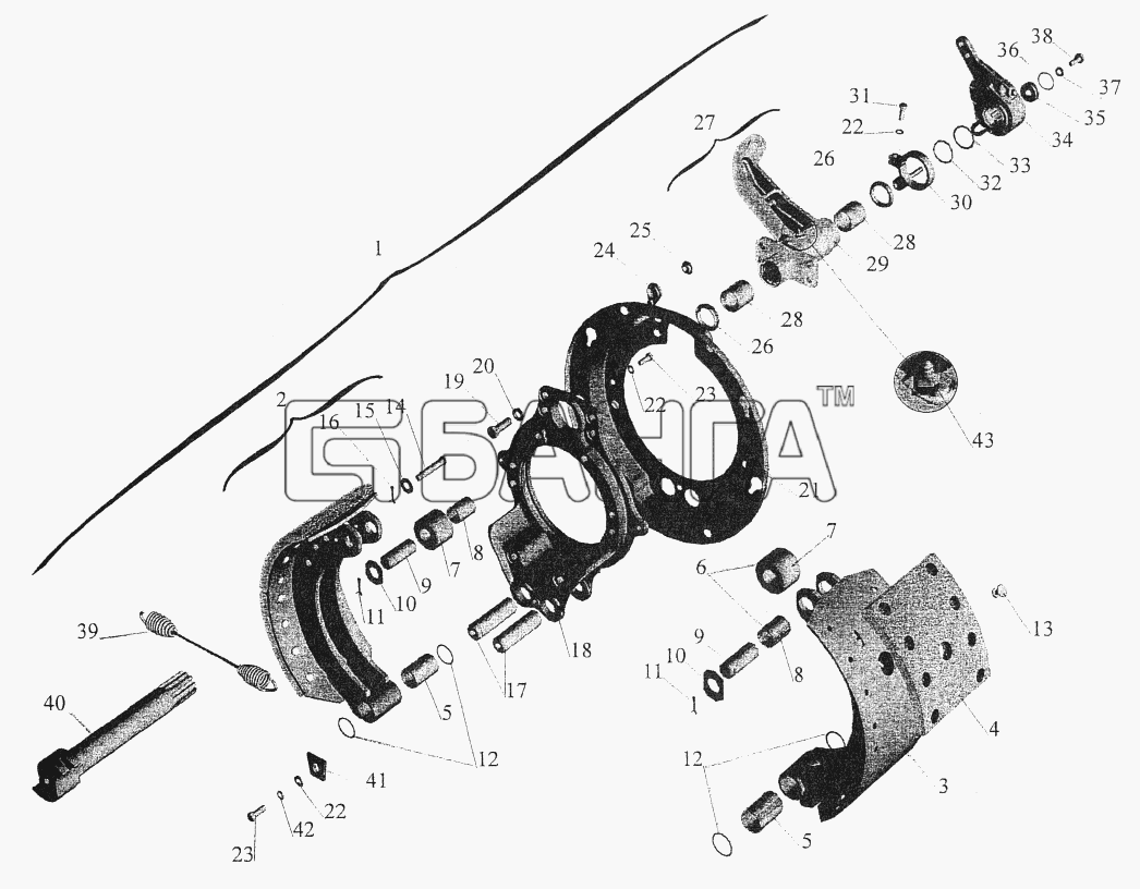 МАЗ МАЗ-544069 Схема Тормозной механизм передних колес-81 banga.ua