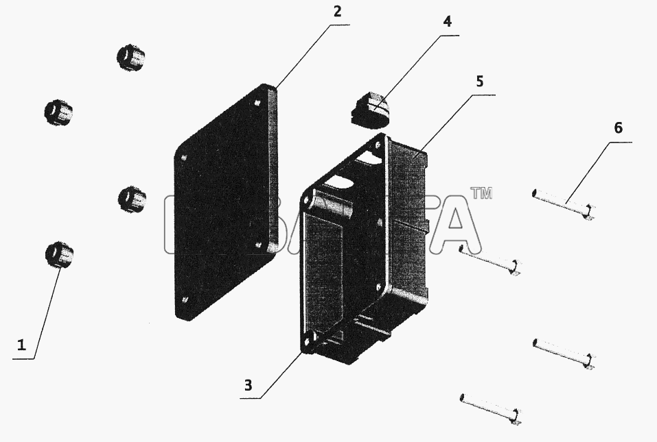 МАЗ МАЗ-544069 Схема Коробка задних фонарей-111 banga.ua