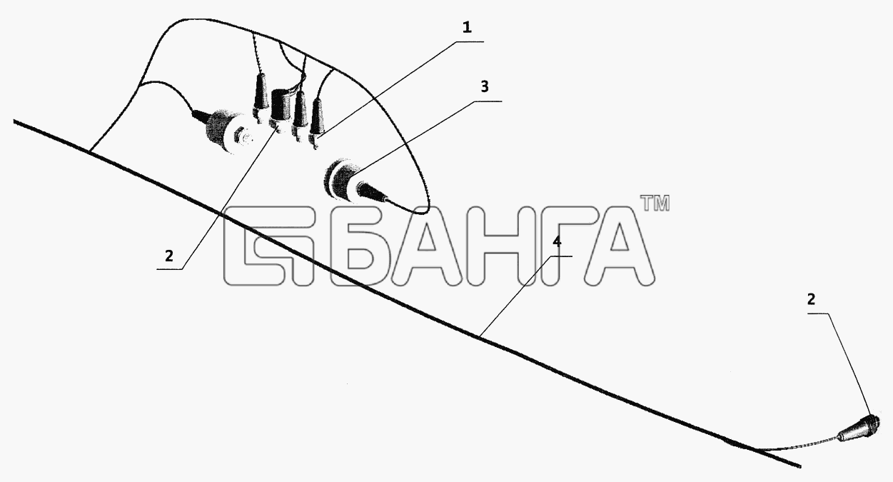 МАЗ МАЗ-544069 Схема Установка датчиков на шасси-117 banga.ua
