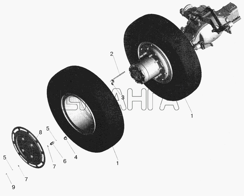 МАЗ МАЗ-5516 (2003) Схема Установка задних колес-125 banga.ua