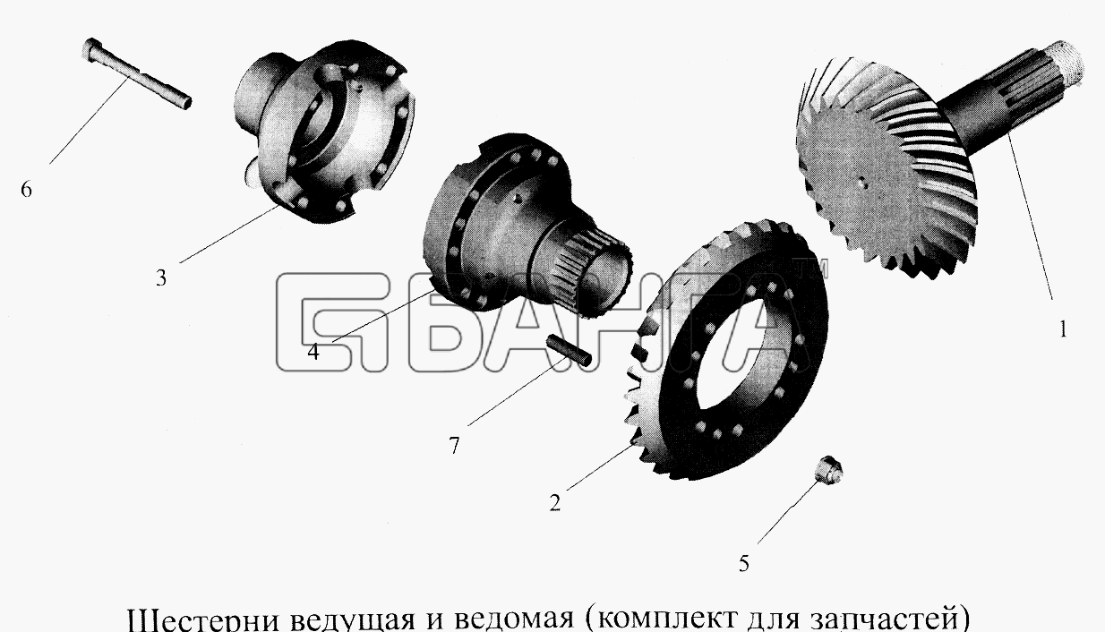 МАЗ МАЗ-5516А5 Схема Шестерни ведущая и ведомая (комплект для banga.ua