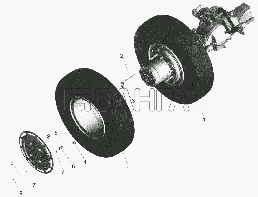 МАЗ МАЗ-5551 (2003) Схема Установка задних колес-125 banga.ua
