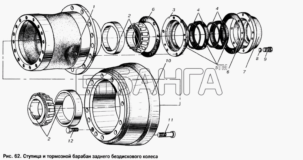 МАЗ МАЗ-6303 Схема Ступица и тормозной барабан заднего banga.ua