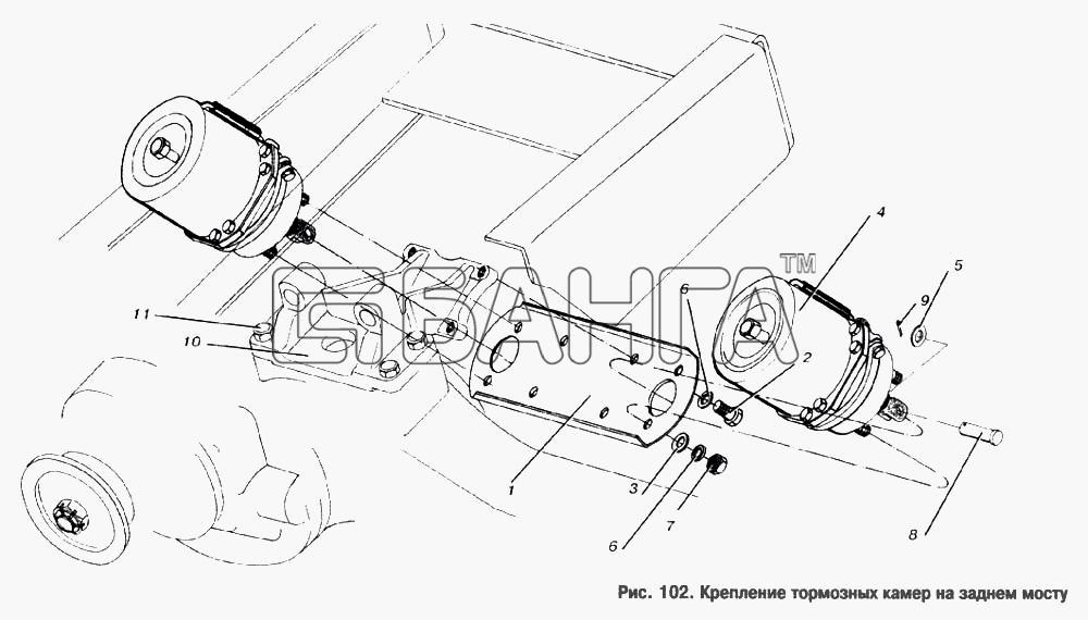 МАЗ МАЗ-53366 Схема Крепление тормозных камер на заднем banga.ua