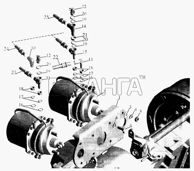 МАЗ МАЗ-643068 Схема Установка задних тормозных камер и banga.ua