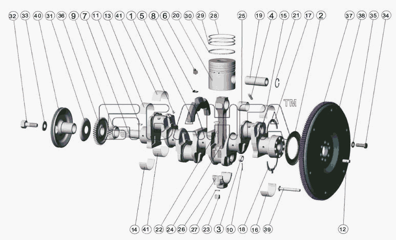 ММЗ Д-242-72 (для МТЗ-821) Схема Поршни и шатуны Коленчатый вал