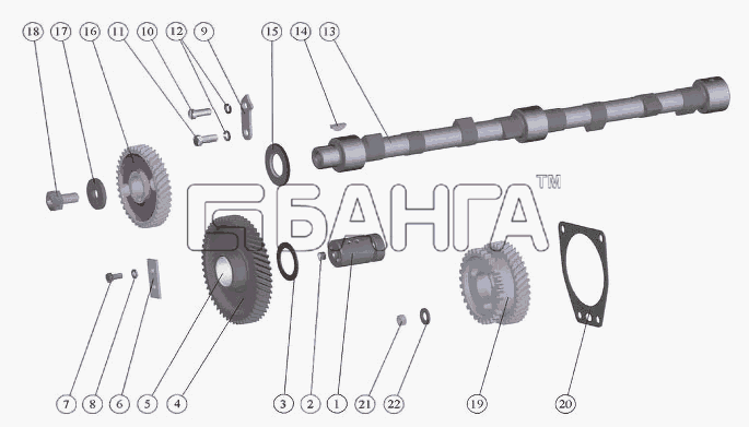 ММЗ Д-242-72 (для МТЗ-821) Схема Распределительный механизм-8 banga.ua