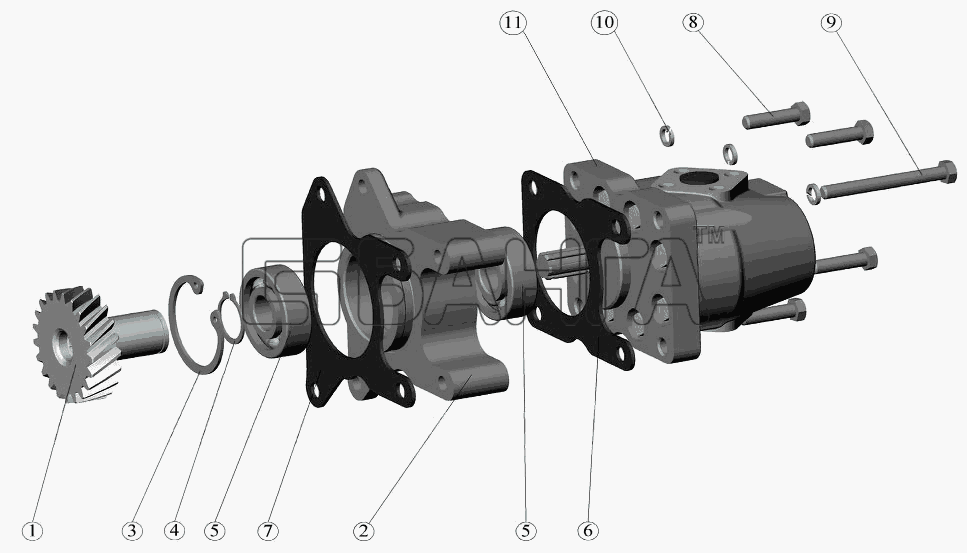 ММЗ Д-242-72 (для МТЗ-821) Схема Установка насоса шестеренного-11