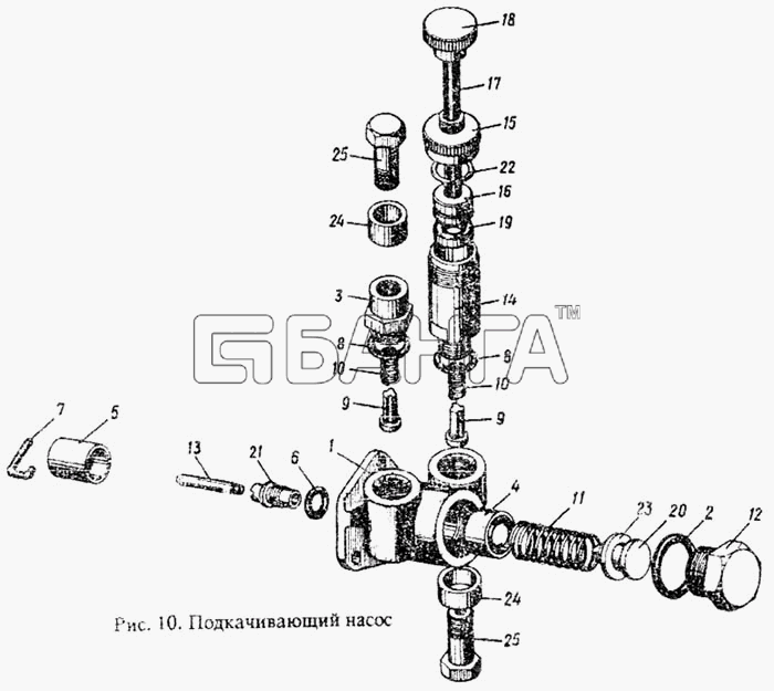 ММЗ Д-242 Схема Подкачивающий насос-13 banga.ua