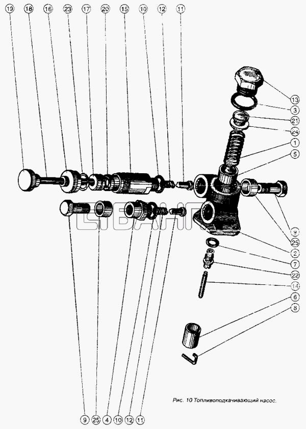 ММЗ Д-243 Схема Топливоподкачивающий насос-13 banga.ua