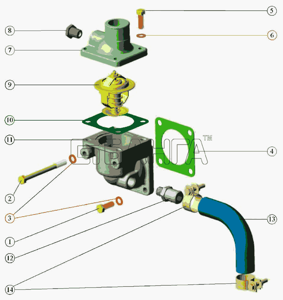 ММЗ Д-245.5 Схема Система охлаждения Установка термостата-18 banga.ua