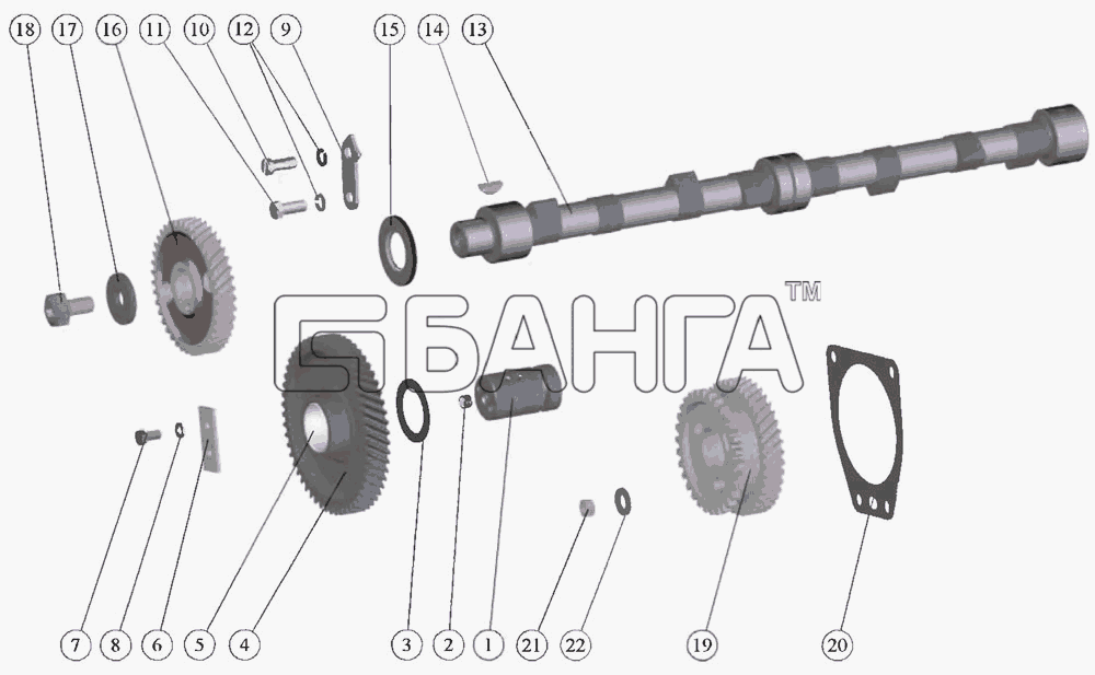 ММЗ Д-245.5 Схема Распределительный механизм-6 banga.ua