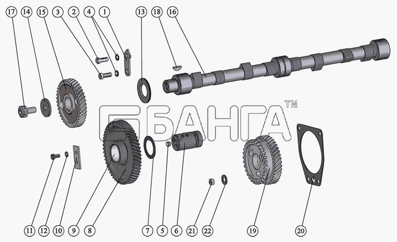 ММЗ Д-245.S3A Схема Распределительный механизм-6 banga.ua