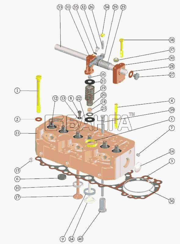 ММЗ Д 260.1 Д-260.2 Схема Головка цилиндров Клапаны и толкатели