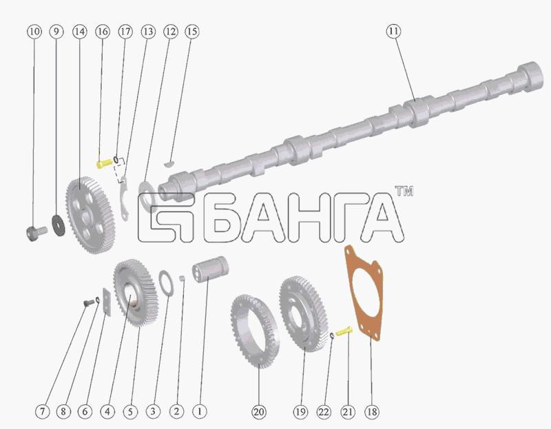ММЗ Д 260.1 Д-260.2 Схема Распределительный механизм-7 banga.ua
